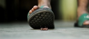 Hur man upptäcker en kackerlacka: 5 tecken på att din partner är Roaching dig